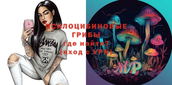кокс Алексин