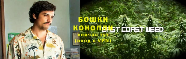 apvp Алзамай
